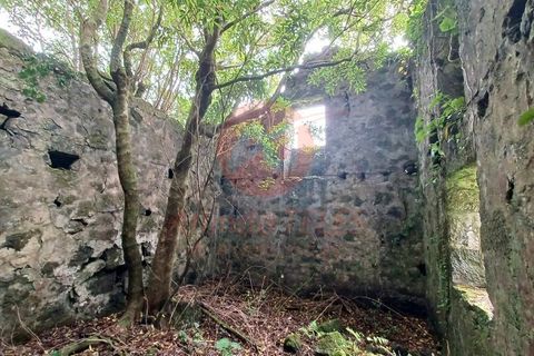Terra a Velas, Sao Jorge, Velas - € 50.000 | Ref: T1012 - foto 7