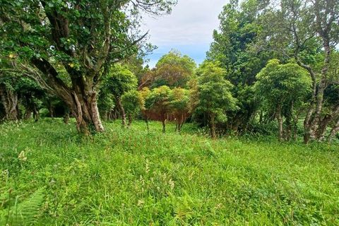 Terra a Velas, Sao Jorge, Velas - € 50.000 | Ref: T1012 - foto 14