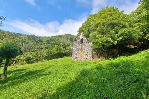 Terra a Velas, Sao Jorge, Velas - € 50.000 | Ref: T1012 - foto 2