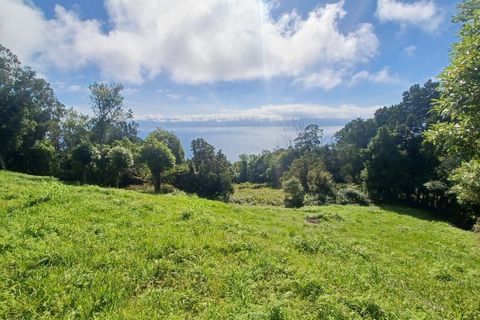 Terra a Velas, Sao Jorge, Velas - € 50.000 | Ref: T1012 - foto 4