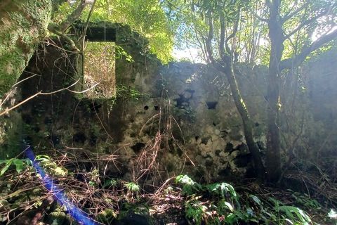 Terra a Velas, Sao Jorge, Velas - € 50.000 | Ref: T1012 - foto 8