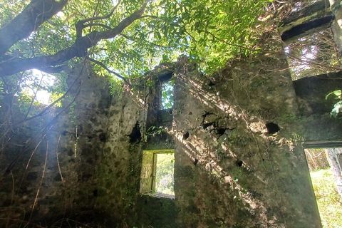Terra a Velas, Sao Jorge, Velas - € 50.000 | Ref: T1012 - foto 9