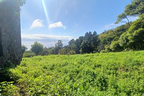 Terra a Velas, Sao Jorge, Velas - € 50.000 | Ref: T1012 - foto 10