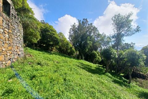 Terra a Velas, Sao Jorge, Velas - € 50.000 | Ref: T1012 - foto 11