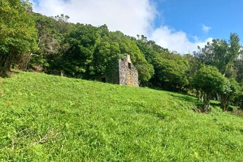 Terra a Velas, Sao Jorge, Velas - € 50.000 | Ref: T1012 - foto 12