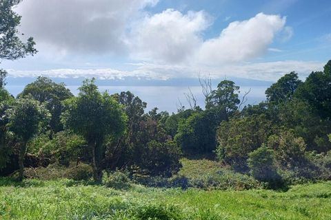 Terra a Velas, Sao Jorge, Velas - € 50.000 | Ref: T1012 - foto 13
