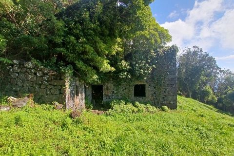 Terra a Velas, Sao Jorge, Velas - € 50.000 | Ref: T1012 - foto 15