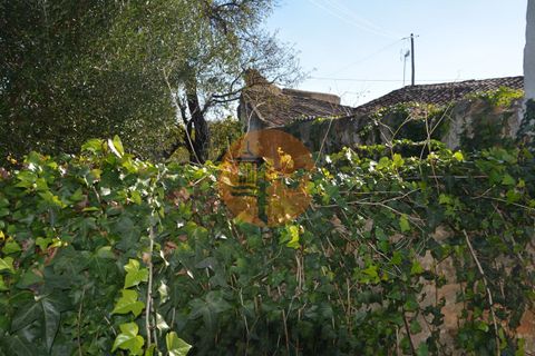 Helårsgrund i Olhao, Faro, Olhao - € 480.000 | Ref: SU-CS-TER-862152 - foto 5