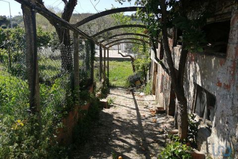 Byhus i Ansiao, Leiria, Ansiao - € 295.000 | Ref: 91477 - foto 4