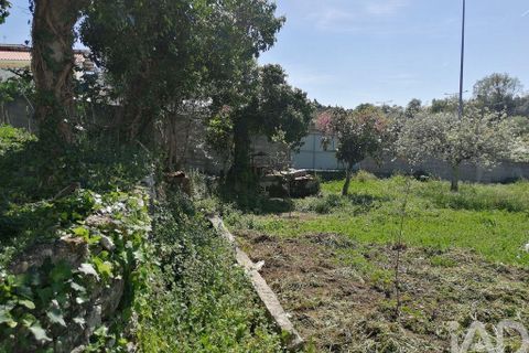 Byhus i Ansiao, Leiria, Ansiao - € 295.000 | Ref: 91477 - foto 17
