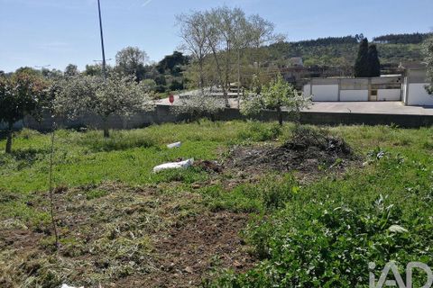 Byhus i Ansiao, Leiria, Ansiao - € 295.000 | Ref: 91477 - foto 18