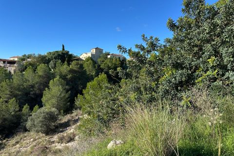 Helårsgrund i Alginet, Valencia, Alginet - € 70.000 | Ref: RP0108/8469 - foto 9
