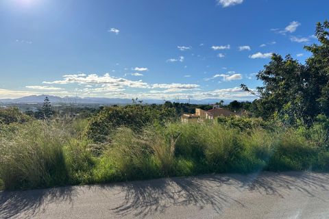 Helårsgrund i Alginet, Valencia, Alginet - € 70.000 | Ref: RP0108/8469 - foto 14