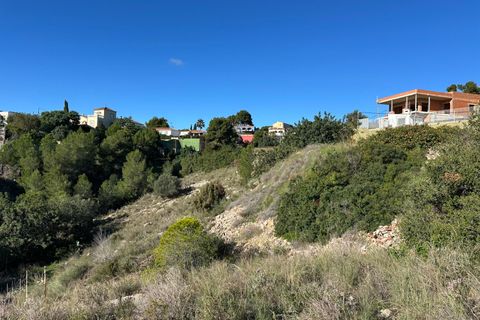 Helårsgrund i Alginet, Valencia, Alginet - € 70.000 | Ref: RP0108/8469 - foto 15