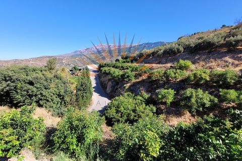Cortijo i Competa, Malaga, Competa - € 72.000 | Ref: C3952 - foto 11