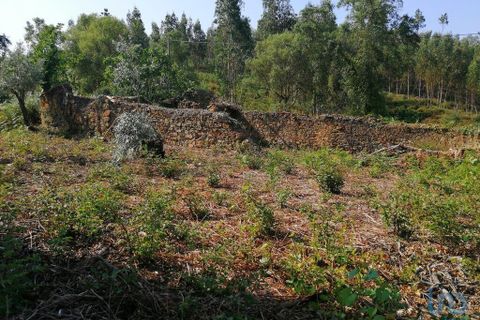 Byhus i Pedrogao Grande, Leiria, Pedrogao Grande - € 35.000 | Ref: 99942 - foto 4