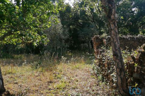 Byhus i Pedrogao Grande, Leiria, Pedrogao Grande - € 35.000 | Ref: 99942 - foto 7