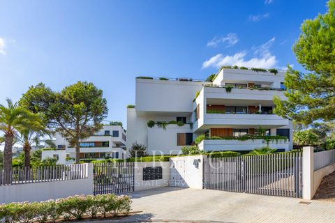 Lejlighed i Calvia, Mallorca, Calvia - € 2.390.000 | Ref: 1132 - foto 32