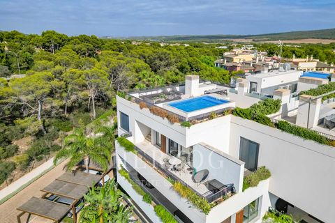 Lejlighed i Calvia, Mallorca, Calvia - € 2.390.000 | Ref: 1132 - foto 36