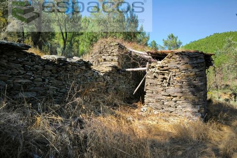 Farm i Fundao, Castelo Branco, Fundao - € 22.000 | Ref: 5807/CP - foto 2