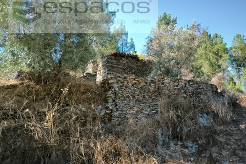 Farm i Fundao, Castelo Branco, Fundao - € 22.000 | Ref: 5807/CP - foto 4
