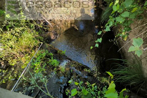 Farm i Fundao, Castelo Branco, Fundao - € 22.000 | Ref: 5807/CP - foto 1