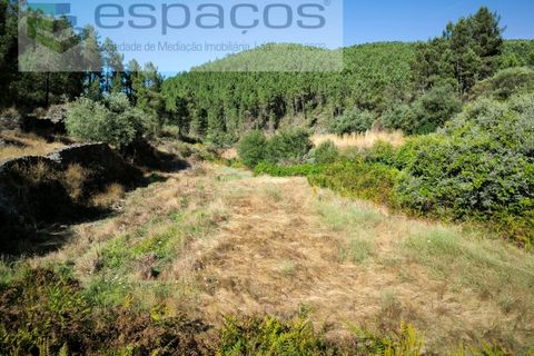 Farm i Fundao, Castelo Branco, Fundao - € 22.000 | Ref: 5807/CP - foto 6
