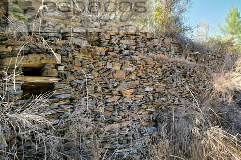 Farm i Fundao, Castelo Branco, Fundao - € 22.000 | Ref: 5807/CP - foto 8