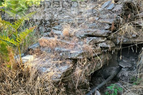 Farm i Fundao, Castelo Branco, Fundao - € 22.000 | Ref: 5807/CP - foto 9