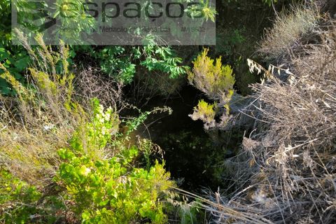 Farm i Fundao, Castelo Branco, Fundao - € 22.000 | Ref: 5807/CP - foto 10