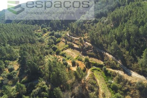 Farm i Fundao, Castelo Branco, Fundao - € 22.000 | Ref: 5807/CP - foto 13