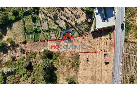 Helårsgrund i Vila Real, Vila Real, Vila Real - € 45.000 | Ref: TER_3019 - foto 2