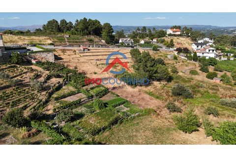Helårsgrund i Vila Real, Vila Real, Vila Real - € 45.000 | Ref: TER_3019 - foto 3