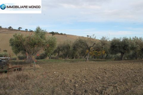 Landejendom i Ururi, Campobasso, Ururi - € 40.000 | Ref: F395 - foto 16