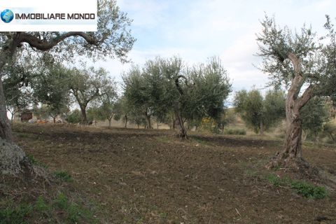 Landejendom i Ururi, Campobasso, Ururi - € 40.000 | Ref: F395 - foto 17