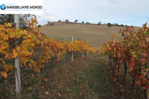 Landejendom i Ururi, Campobasso, Ururi - € 40.000 | Ref: F395 - foto 19
