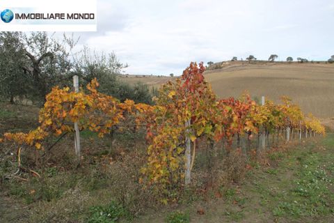 Landejendom i Ururi, Campobasso, Ururi - € 40.000 | Ref: F395 - foto 20