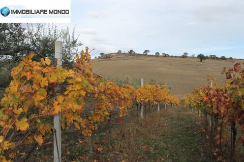 Landejendom i Ururi, Campobasso, Ururi - € 40.000 | Ref: F395 - foto 21