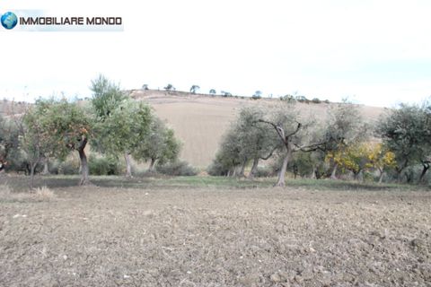 Landejendom i Ururi, Campobasso, Ururi - € 40.000 | Ref: F395 - foto 23