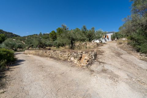 Farm hus i Tortosa, Tarragona, Tortosa - € 150.000 | Ref: 251 - foto 36