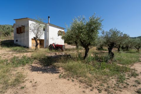 Farm hus i Tortosa, Tarragona, Tortosa - € 150.000 | Ref: 251 - foto 23