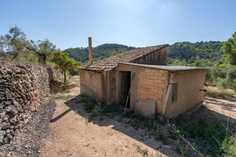 Farm hus i Tortosa, Tarragona, Tortosa - € 150.000 | Ref: 251 - foto 25