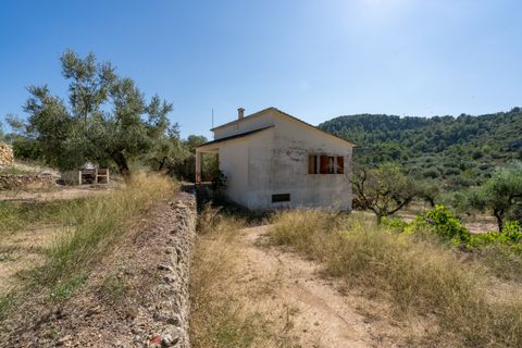 Farm hus i Tortosa, Tarragona, Tortosa - € 150.000 | Ref: 251 - foto 21