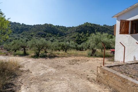 Farm hus i Tortosa, Tarragona, Tortosa - € 150.000 | Ref: 251 - foto 38