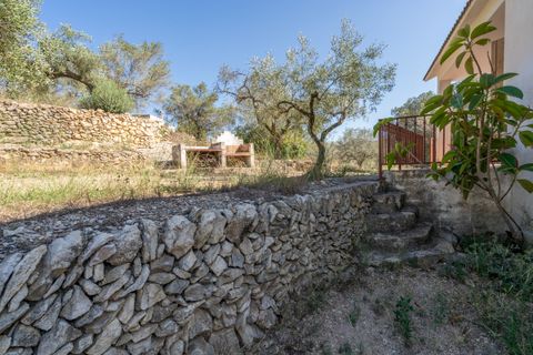 Farm hus i Tortosa, Tarragona, Tortosa - € 150.000 | Ref: 251 - foto 33