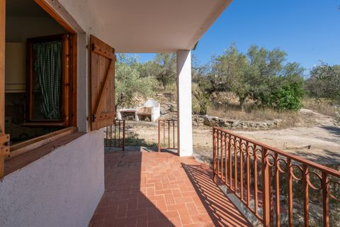 Farm hus i Tortosa, Tarragona, Tortosa - € 150.000 | Ref: 251 - foto 20
