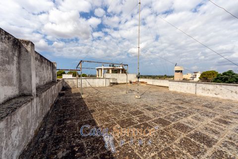 Villa i Matino, Lecce, Matino - € 170.000 | Ref: MS-220 - foto 19