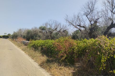 Helårsgrund i Casarano, Lecce, Casarano - € 55.000 | Ref: Caf-55 terre - foto 2
