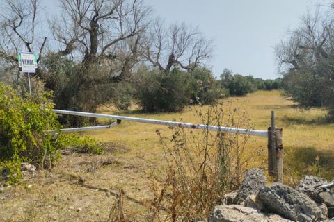 Helårsgrund i Casarano, Lecce, Casarano - € 55.000 | Ref: Caf-55 terre - foto 3