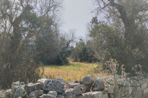 Helårsgrund i Casarano, Lecce, Casarano - € 55.000 | Ref: Caf-55 terre - foto 4